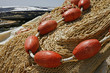 Fishing Nets