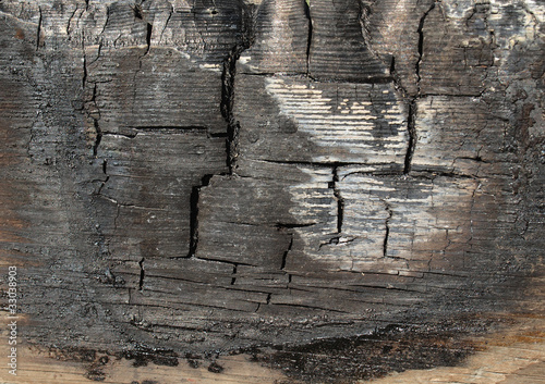 Photo: Burned wood Burned wood
