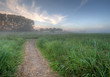 Mist