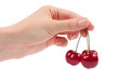 Cherries in the women's hand