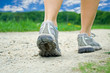 Walking exercise in summer forest Walking exercise in summer forest