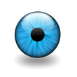 eye11