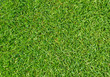 Rasen Nahaufnahme - Grass texture close-up