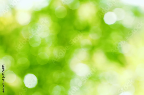 Photo: Natural Bokeh Natural Bokeh