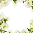 White flowers