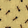seamless texture with ants