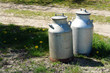 Foto: Milk cans jugs in a farm Milk cans jugs in a farm