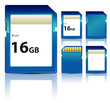 set of sd card isolated on white background
