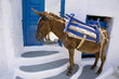 grèce,cyclades,amorgos : village de potamos, âne grèce,cyclades,amorgos : village de potamos, âne