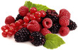 frutti di bosco
