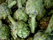 Artischocken - Artichokes