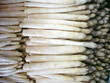 Spargel - Asparagus