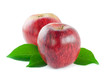 Two red apples with leaves Two red apples with leaves
