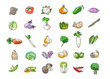 vegetables-30