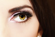 woman eyes