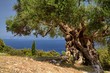 Griechische Inseln