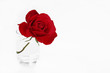 Rose in Glas