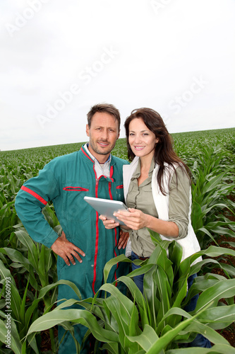Foto: Farmer and researcher analysing corn plant Farmer and researcher analysing corn plant