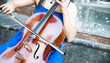 Street Musician Street Musician