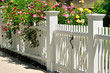 White Gate with Yellow, Pink and Red Climbing Rose Bushes