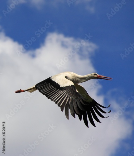 Foto: Cigogne Cigogne
