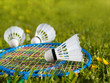 Badminton shuttlecock