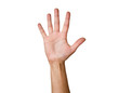 Female hand with outstretched fingers. Isolation on white