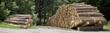 holzstapel aus gefällten bäumen
