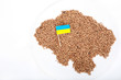 uncooked Buckwheat groats close-up with Ukrainian Flag