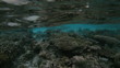 Semi-underwater video of tropical island, Maldive