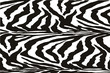 Vector: Vector Zebra Vector Zebra
