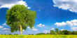 Pluie d'Orage en Campagne