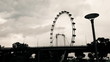 Video: High contrast time lapse of Singapore ferris wheel High contrast time lapse of Singapore ferris wheel