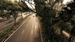 Video: Time lapse of highway traffic surrounded by exotic plants Time lapse of highway traffic surrounded by exotic plants