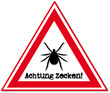 Zecke