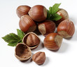 nocciole