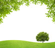 green field with a big tree and green Leaves on white background green field with a big tree and green Leaves on white background