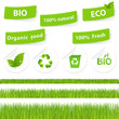 Eco Set With Grass
