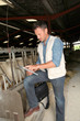 Breeder in barn with electronic tablet Breeder in barn with electronic tablet