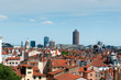 The panoramic aerial view at Lyon, France