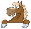 Horse Mascot Cartoon Head