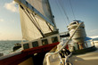 Sailing in Miami's Biscayne Bay