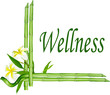 symbol, zeichen: wellness
