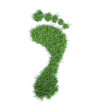Ecological footprint concept - grass patch footrpint
