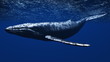 クジラ