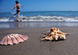 Meer und Sandstrand mit Muschel Meer und Sandstrand mit Muschel