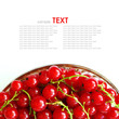 fresh currants