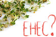 Ehec in Sprossen?
