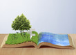 open book