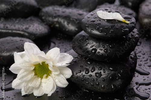 Photo: balanced stones and flower balanced stones and flower